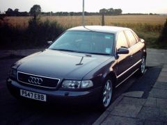 Cruiser's Audis