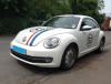 Beetle003.jpg